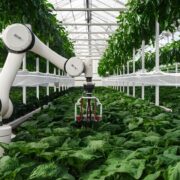 Green House Automation